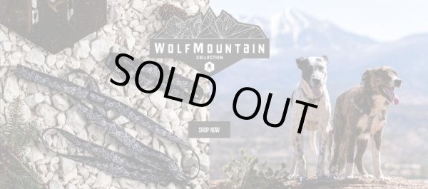 画像10: 【首輪】WOLF GANG /WolfMountain COLLAR (10)