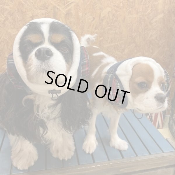 画像4: INU-CLOSETオリジナル☆イヤーウォーマー (4)