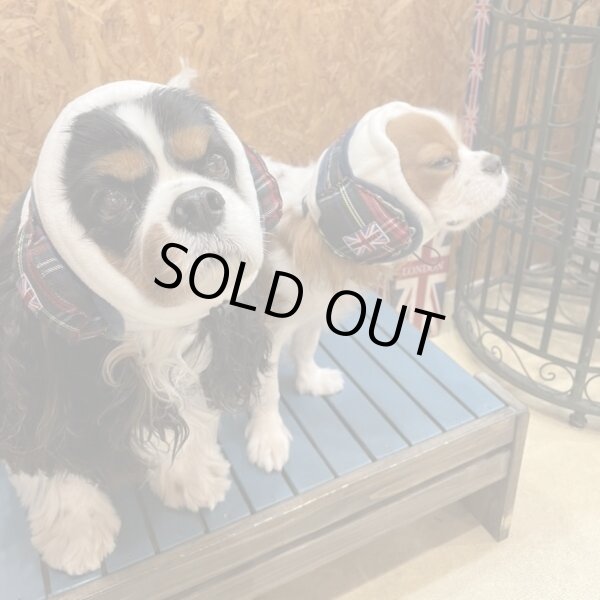 画像3: INU-CLOSETオリジナル☆イヤーウォーマー (3)