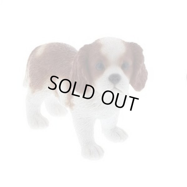 画像1: 【置物】キャバリア立ち (1)