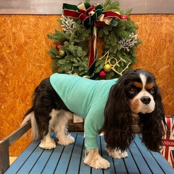 画像2: SKIN TIGHT WARM T-SHIRT スキンタイトウォームTシャツ (2)