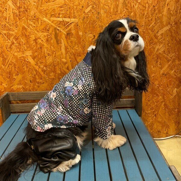 画像3:  【30%OFF】 【as know as de wan】N ギンガムフラワーSH (3)