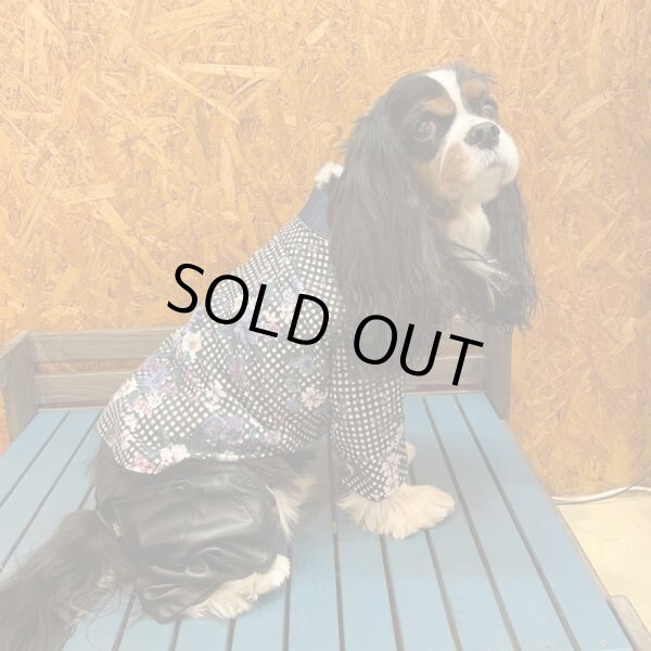 画像3:  【30％OFF】 【as know as de wan】N ギンガムフラワーSH (3)