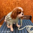 画像13:  30%OFF 【SASSY WOOF】 Dog Cable Knit Sweater (13)