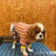 画像11:  30%OFF 【SASSY WOOF】 Dog Cable Knit Sweater (11)
