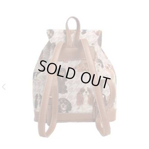 画像2: Signare リュックサック (2)