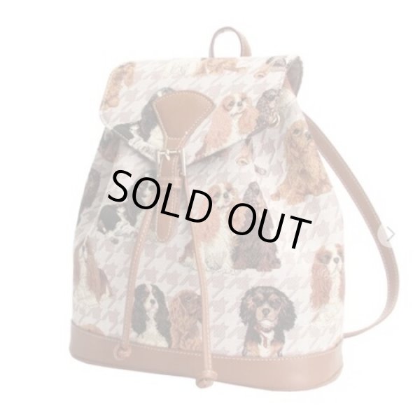 画像1: Signare リュックサック (1)