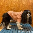 画像20:  30%OFF 【SASSY WOOF】 Dog Cable Knit Sweater (20)