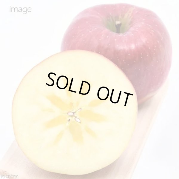 画像3:  【キャバスーツチップス】 蜜入りふじりんご（30g） (3)