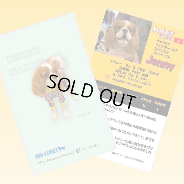 画像4: キャバスーツチップス・うす〜くスライスして焼いた大自然で育った鹿肉のジャーキー(30g) (4)