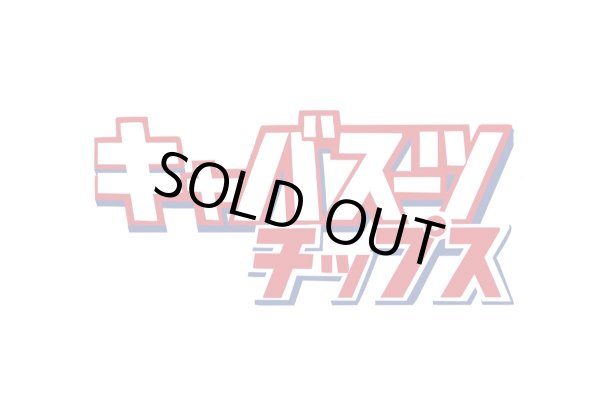 画像6: キャバスーツチップス・うす〜くスライスして焼いた大自然で育った鹿肉のジャーキー(30g) (6)