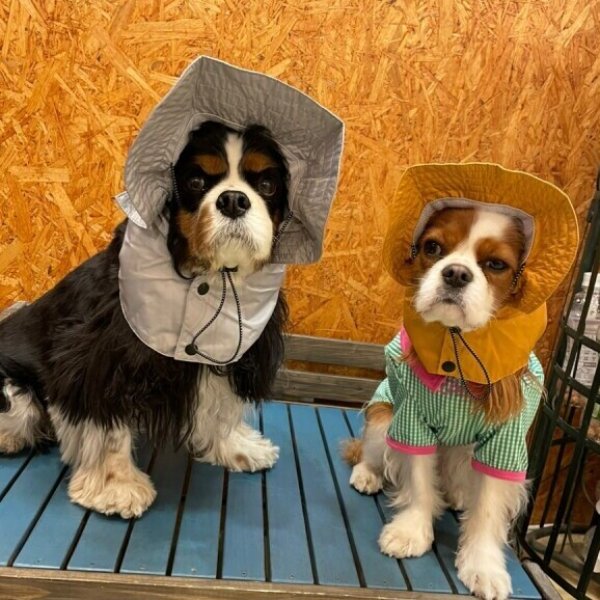 画像19: ミルアウトドアレインハット (19)