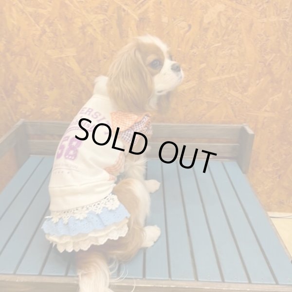 画像3:  【30％OFF】 【as know as de wan】Ｎお花レースティアＳＫ (3)