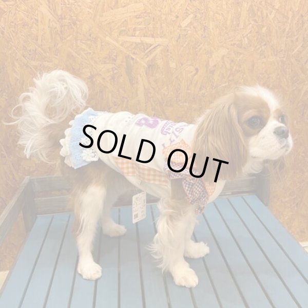 画像2:  【30％OFF】 【as know as de wan】Ｎお花レースティアＳＫ (2)