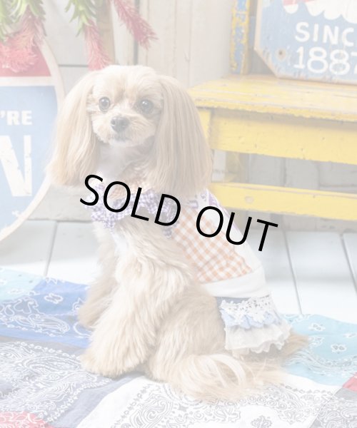 画像9:  【30％OFF】 【as know as de wan】Ｎお花レースティアＳＫ (9)