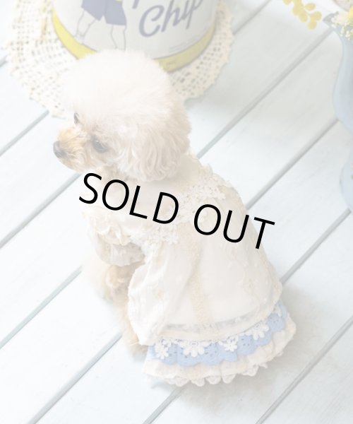 画像5:  【30％OFF】 【as know as de wan】Ｎお花レースティアＳＫ (5)