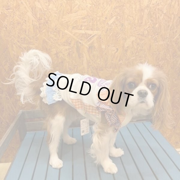 画像4:  【30％OFF】 【as know as de wan】Ｎお花レースティアＳＫ (4)