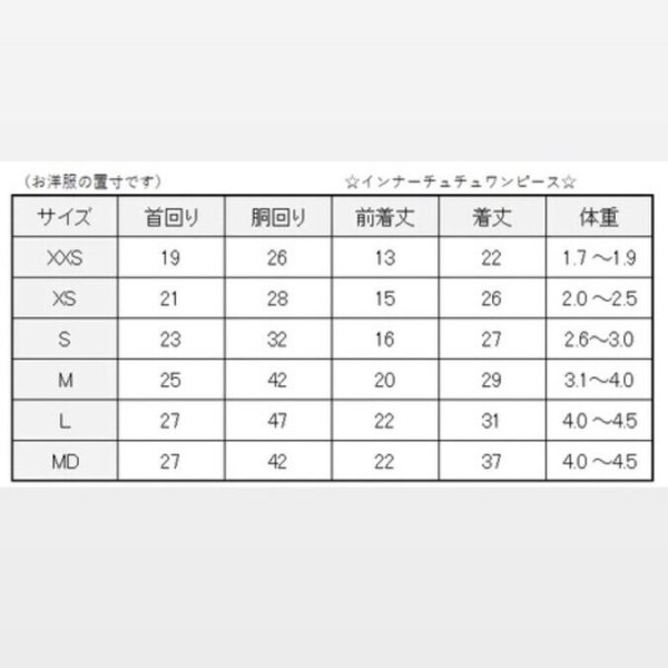 画像21:  SALE30%OFF インナーチュチュ (21)