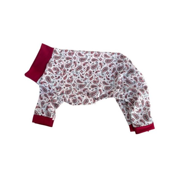 画像1: 【キャバスーツ　LIMITED】ホワイトペイズリー (1)