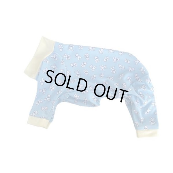 画像1: 30%OFF【キャバスーツ　LIMITED】KUMA CLASSIC (1)