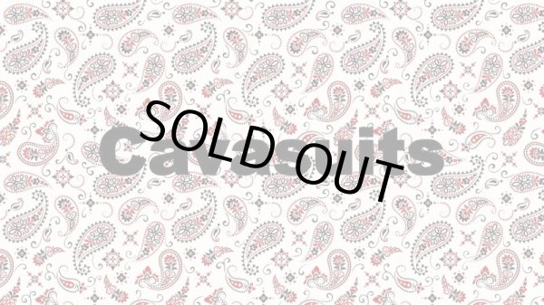 画像4:  【50％OFF】 【キャバスーツ】ホワイトペイズリー (4)