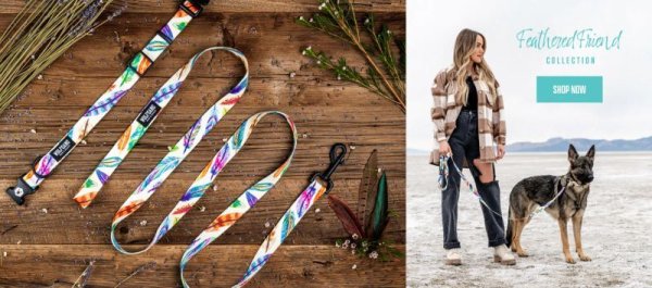 画像11: 【首輪】WOLF GANG /FeatheredFriend COLLAR (11)