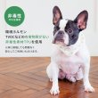 画像9: 2023モデル【ボタン付】SUO for dogs 28°ICE_COOL RING（犬用アイスクールリング） (9)