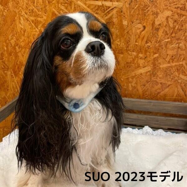 画像1: 2023モデル【ボタン付】SUO for dogs 28°ICE_COOL RING（犬用アイスクールリング） (1)