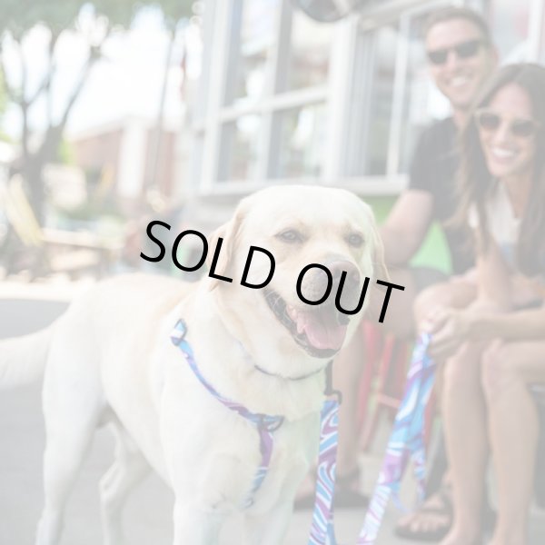 画像13: 【リード】WOLF GANG /MarbleWave LEASH (13)