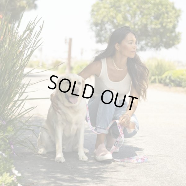 画像2: 【首輪】WOLF GANG /DigiFloral COLLAR (2)