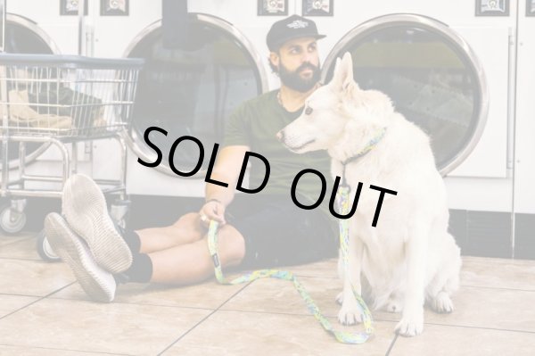 画像8: 【首輪】WOLF GANG /ModernCanvas COLLAR (8)