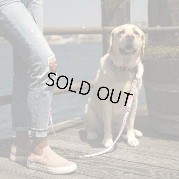 画像12: 【首輪】WOLF GANG /DigiFloral COLLAR (12)