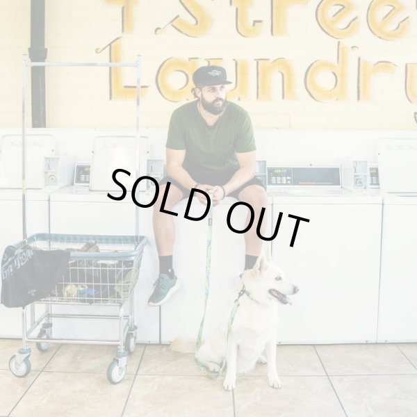 画像2: 【首輪】WOLF GANG /ModernCanvas COLLAR (2)