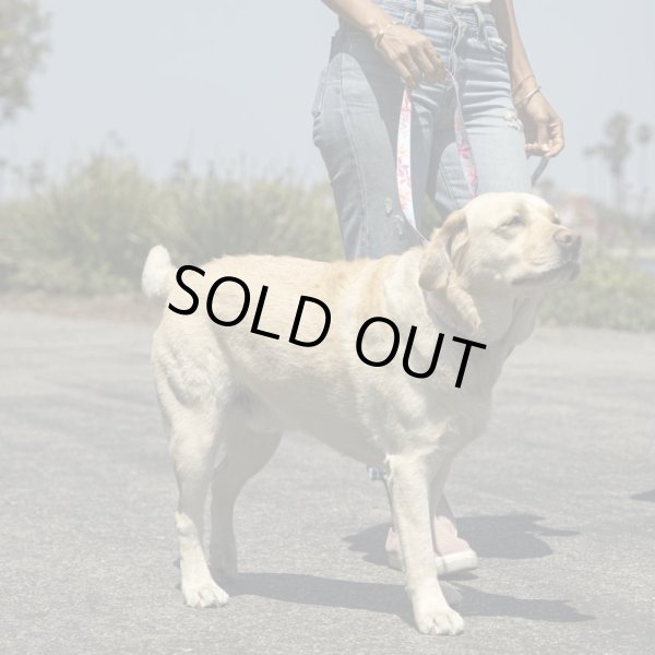 画像5: 【首輪】WOLF GANG /DigiFloral COLLAR (5)