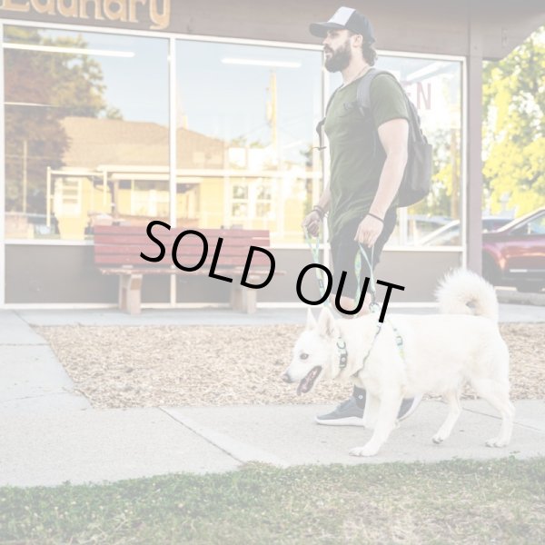 画像12: 【首輪】WOLF GANG /ModernCanvas COLLAR (12)