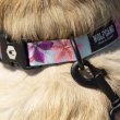 画像16: 【リード】WOLF GANG /DigiFloral LEASH (16)