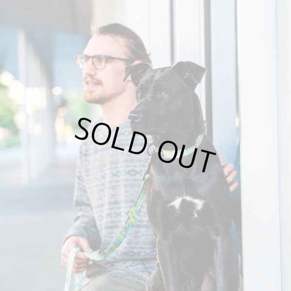 画像13: 【首輪】WOLF GANG /ModernCanvas COLLAR (13)