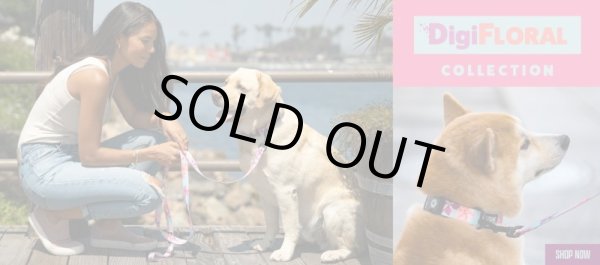 画像21: 【首輪】WOLF GANG /DigiFloral COLLAR (21)