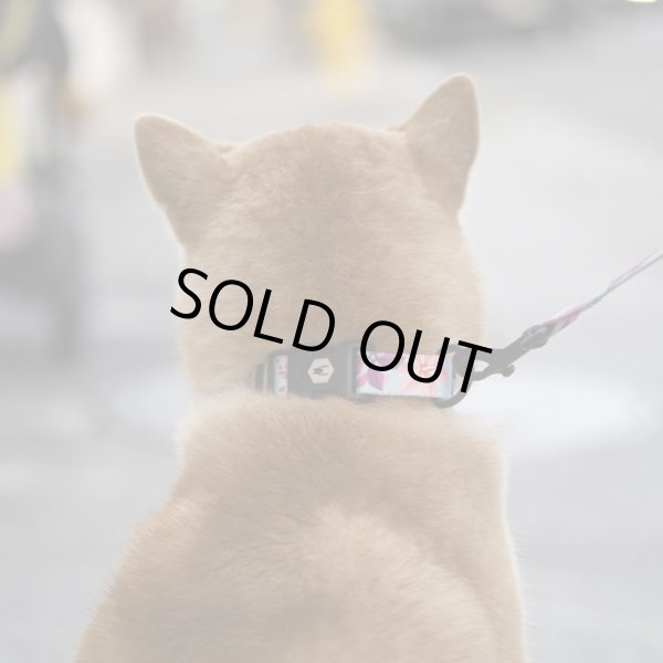 画像19: 【首輪】WOLF GANG /DigiFloral COLLAR (19)