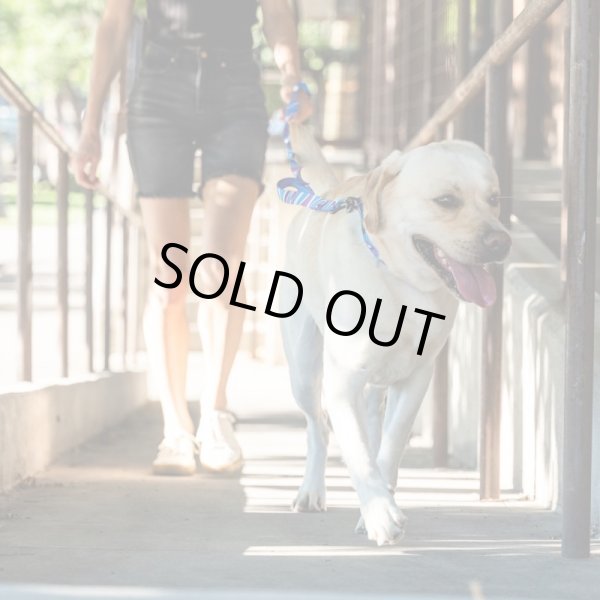 画像14: 【リード】WOLF GANG /MarbleWave LEASH (14)