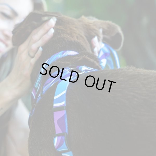 画像5: 【リード】WOLF GANG /MarbleWave LEASH (5)