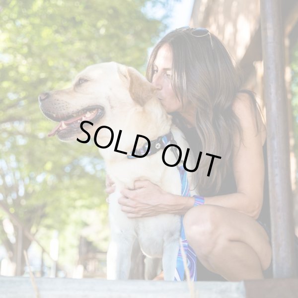 画像16: 【リード】WOLF GANG /MarbleWave LEASH (16)