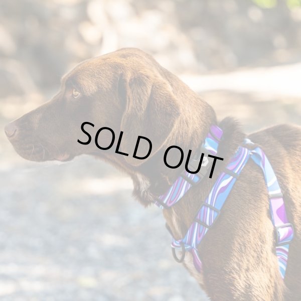 画像2: 【リード】WOLF GANG /MarbleWave LEASH (2)