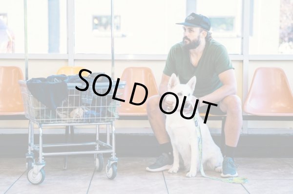 画像4: 【首輪】WOLF GANG /ModernCanvas COLLAR (4)