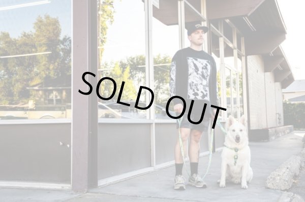 画像7: 【首輪】WOLF GANG /ModernCanvas COLLAR (7)