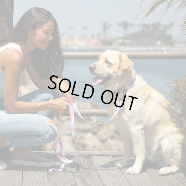 画像7: 【首輪】WOLF GANG /DigiFloral COLLAR (7)