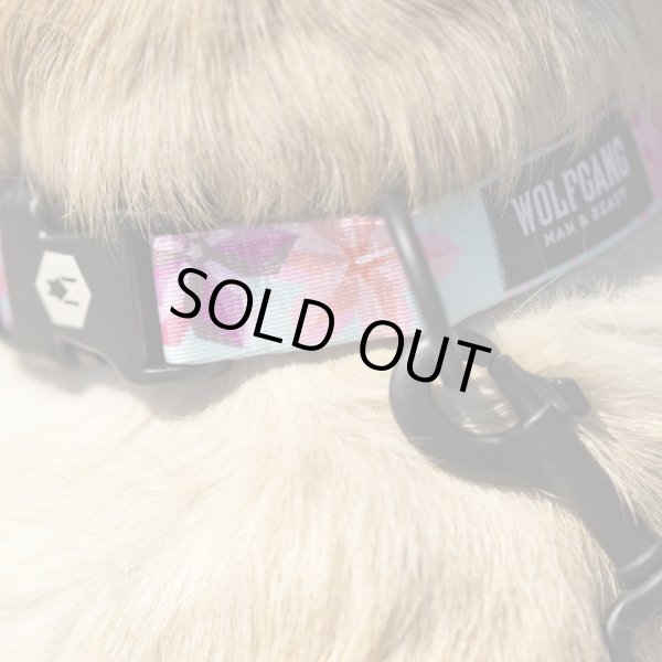 画像16: 【首輪】WOLF GANG /DigiFloral COLLAR (16)