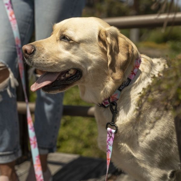 画像11: 【リード】WOLF GANG /DigiFloral LEASH (11)