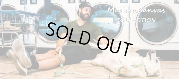 画像15: 【首輪】WOLF GANG /ModernCanvas COLLAR (15)