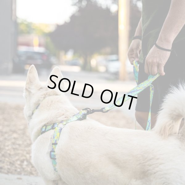 画像11: 【首輪】WOLF GANG /ModernCanvas COLLAR (11)